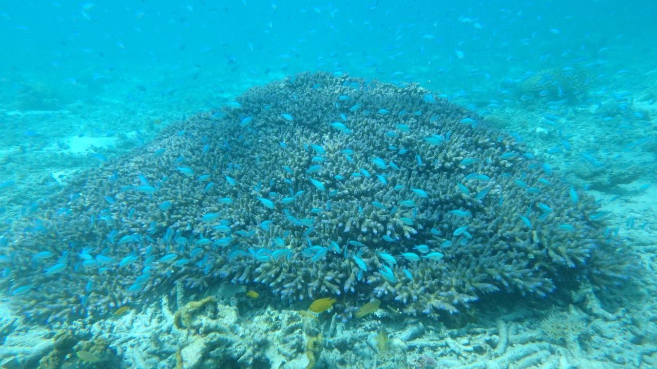 伊雍齐旅馆 招待所 沖繩